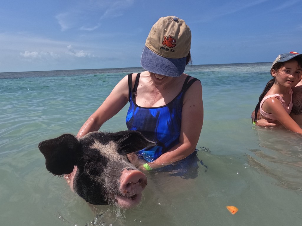 Swimming with the&nbsp;Pigs!!